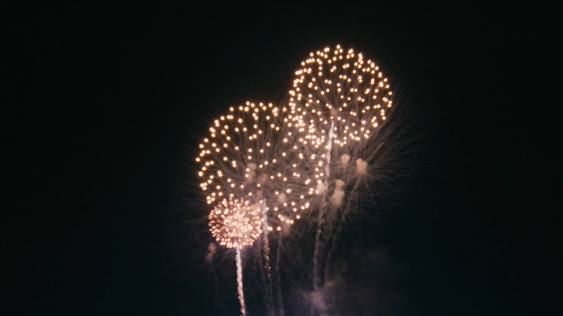 luka nižetić koncert video produkcija