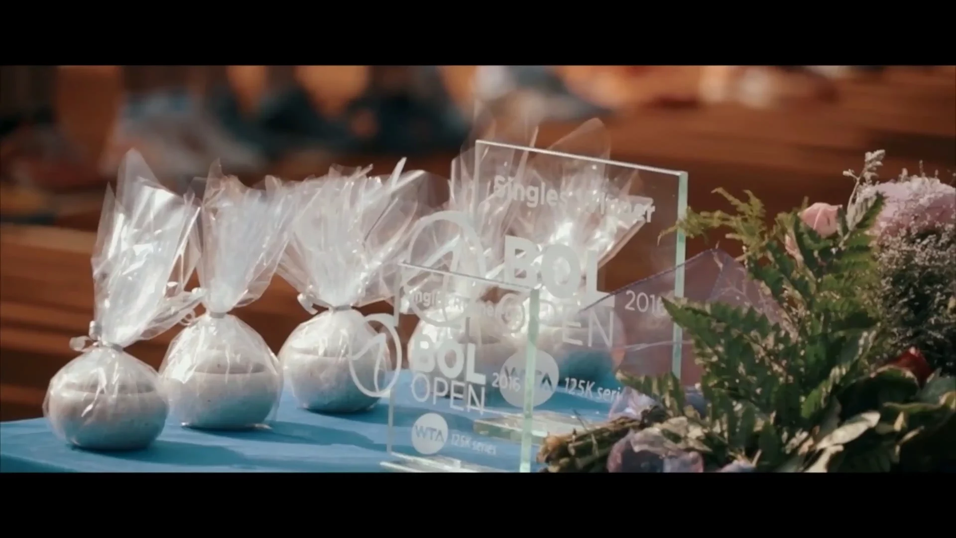 wta video produkcija unlimited crew